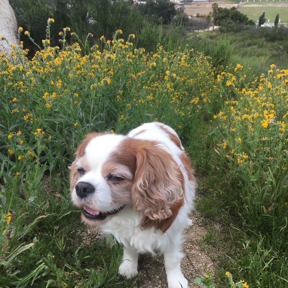 Meet your Posher, Christina